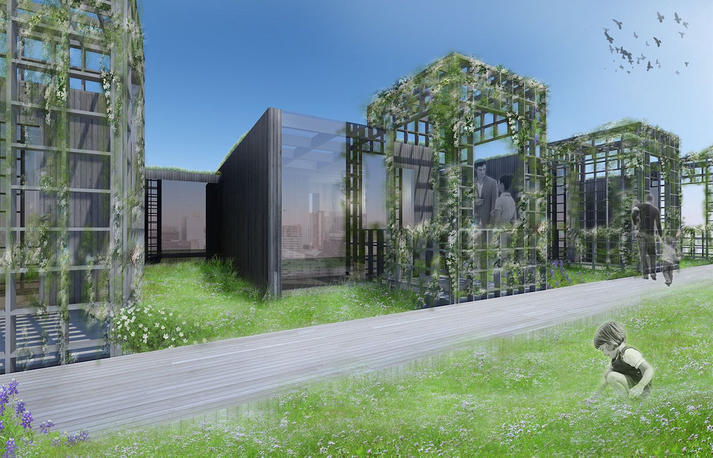 green cube, rotterdam, dakopbouw, milieu, groen, groendak, dakenplan, rotterdam, lg architecten